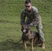 Marine K-9s sniff out hostiles