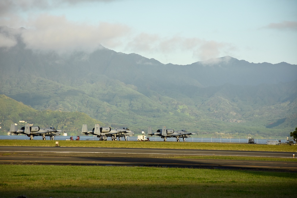 Alo-hawgs: 442d Fighter Wing A-10s train at Marine Corps Base Hawaii
