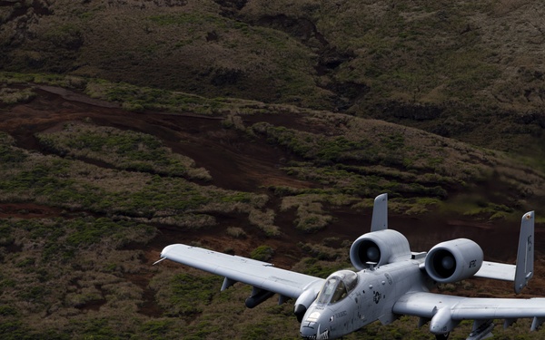 A-10 Escort