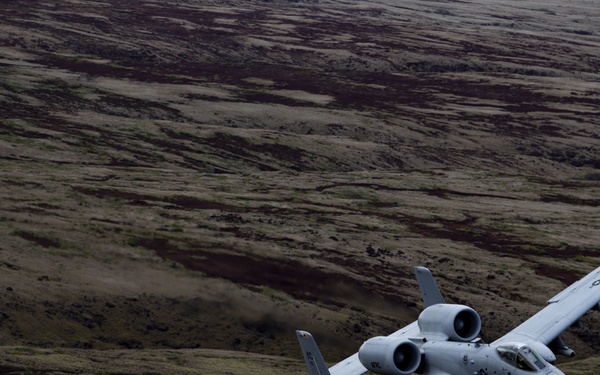 A-10 Escort
