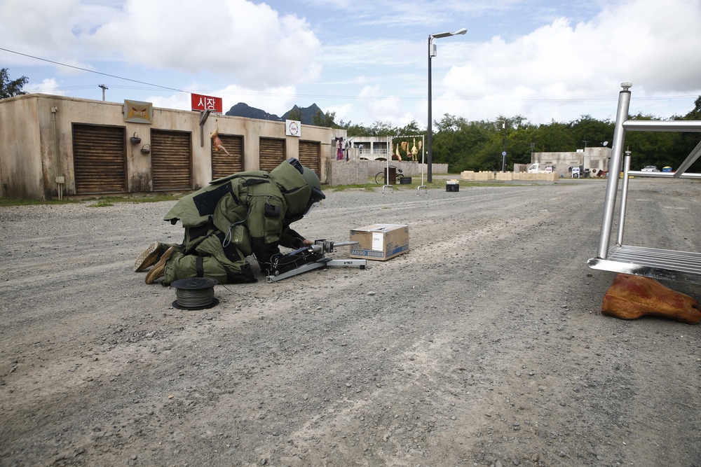 EOD conducts IED training