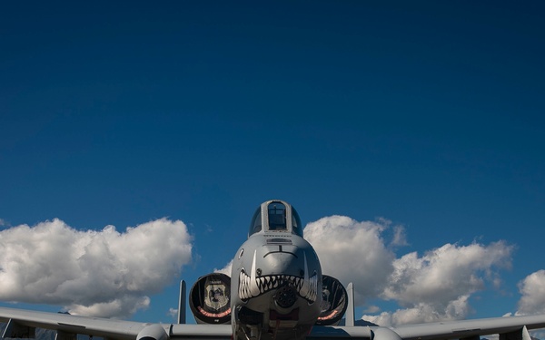 A-10's fly in Hawaii