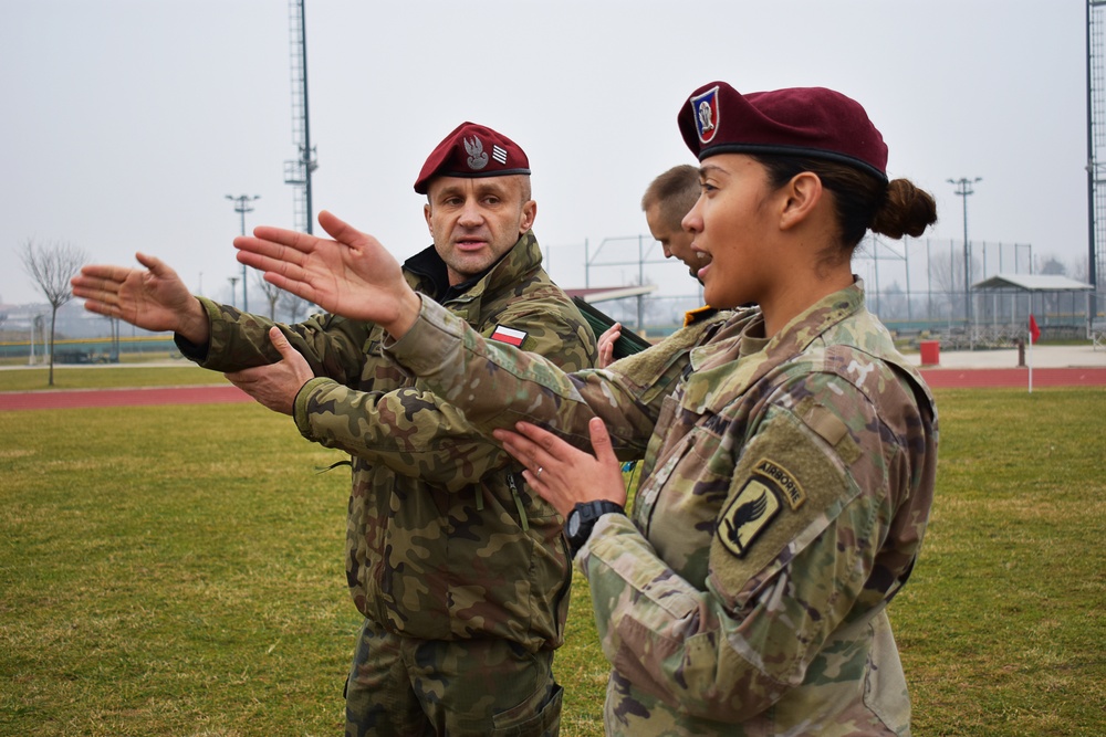 Polish Soldier with Sky Soldier