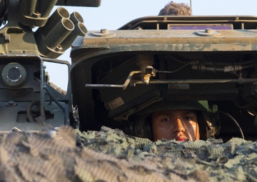 Cobra Gold 19: Combined Arms Live Fire Exercise