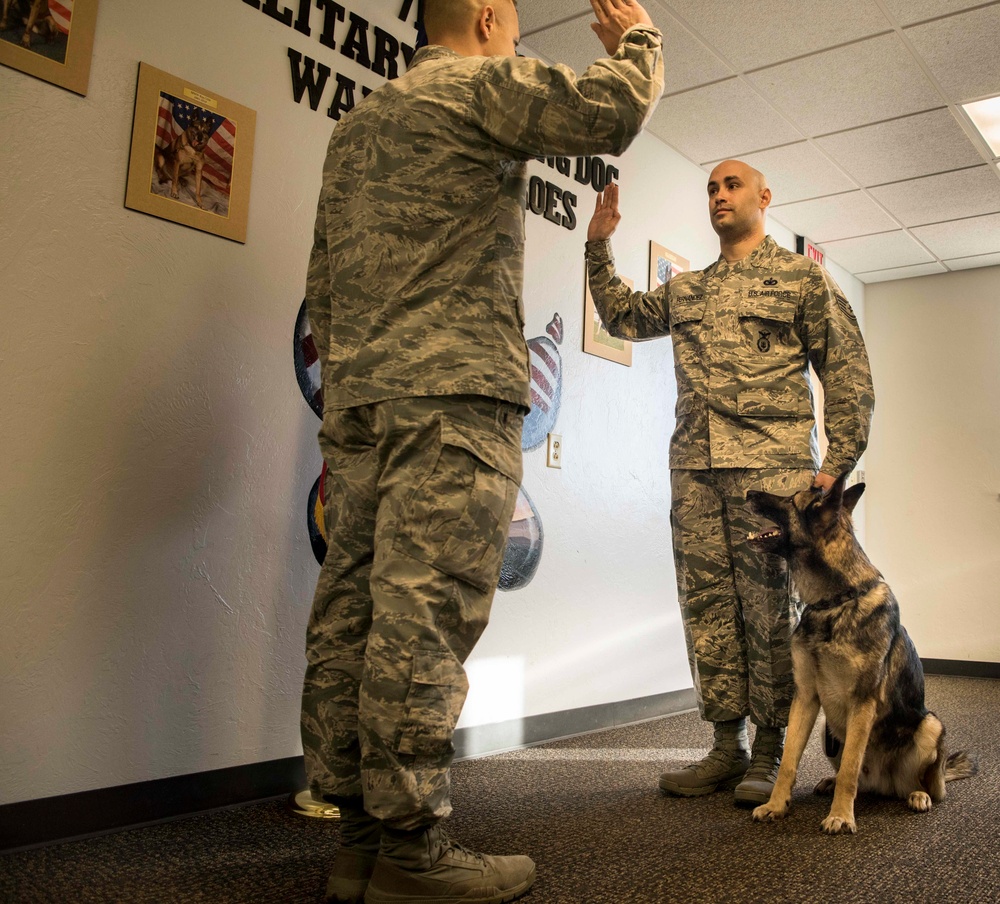 K-9 handler reenlists with partner at his side