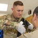 ‘Iron Orthopedics’ named Army Medicine’s Wolf Pack