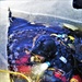 Fort McCoy firefighters practice diving under ice for rescue operations
