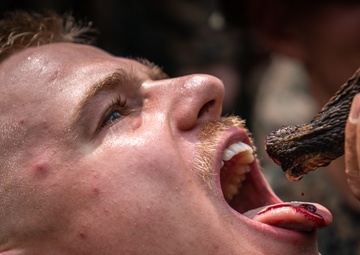 Cobra Gold 19: Royal Thai, US Marines learn essential jungle survival skills at Ban Chan Krem