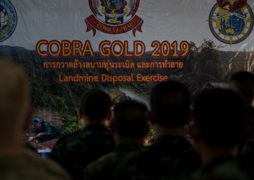 Save a life, Save a family | Marines with 9th ESB assist Royal Thai Armed Forces in mine disposal