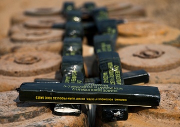 Save a life, Save a family | Marines with 9th ESB assist Royal Thai Armed Forces in mine disposal