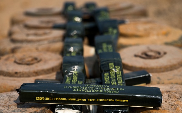 Save a life, Save a family | Marines with 9th ESB assist Royal Thai Armed Forces in mine disposal