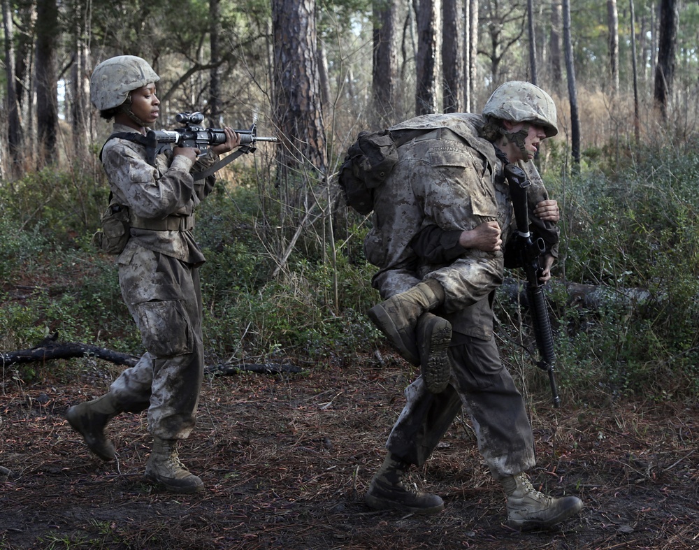 November Company takes on the Crucible
