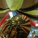 4th Combat Aviation Brigade Homecoming