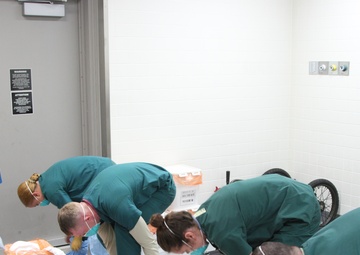 Highly Infection Disease Exercise