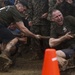 Marines on Camp Hansen compete in 2019 Commander's Cup