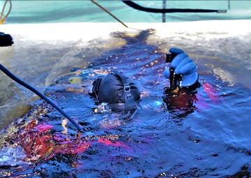 Fort McCoy firefighters practice diving under ice for rescue operations