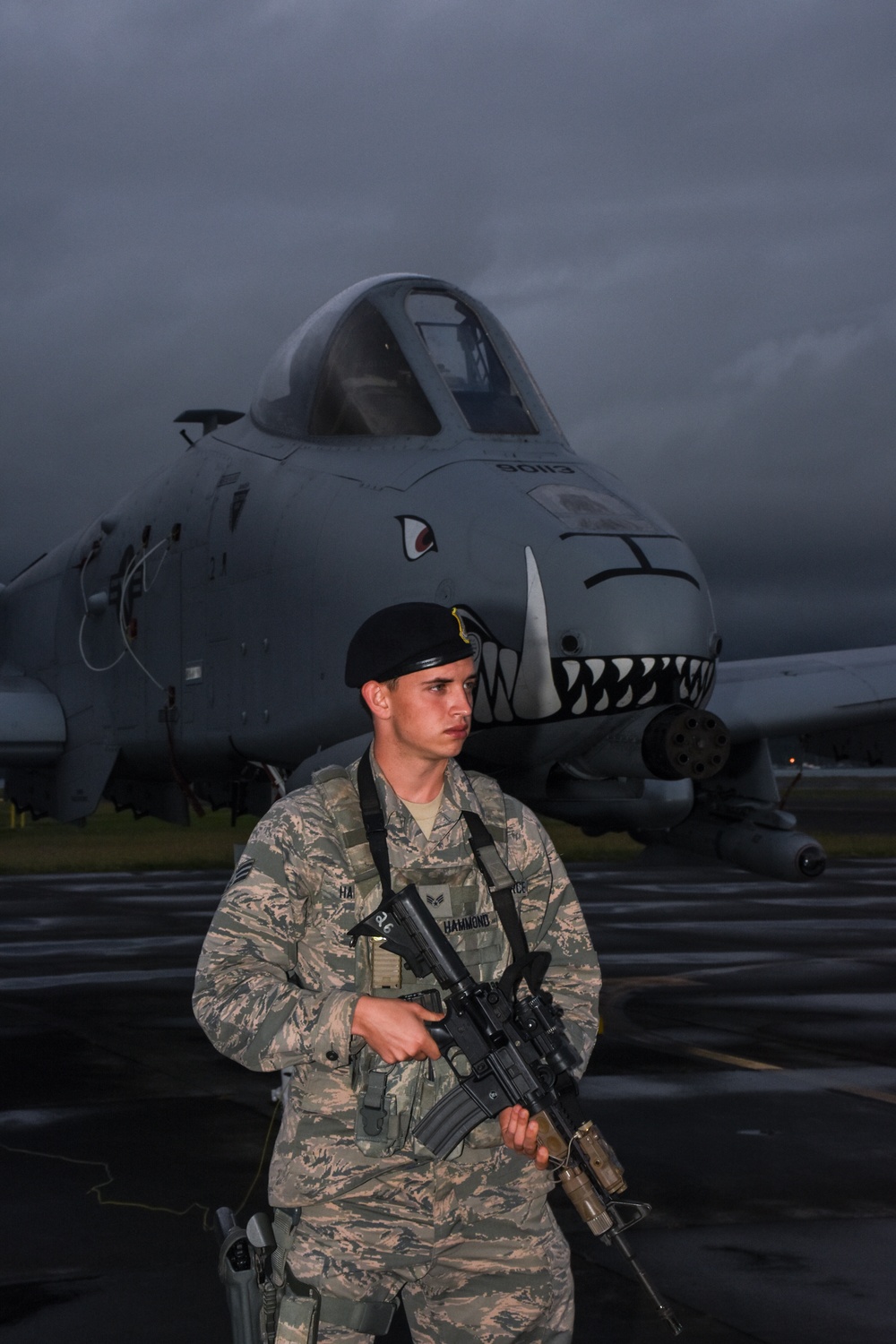 442d Fighter Wing Defenders in Hawaii