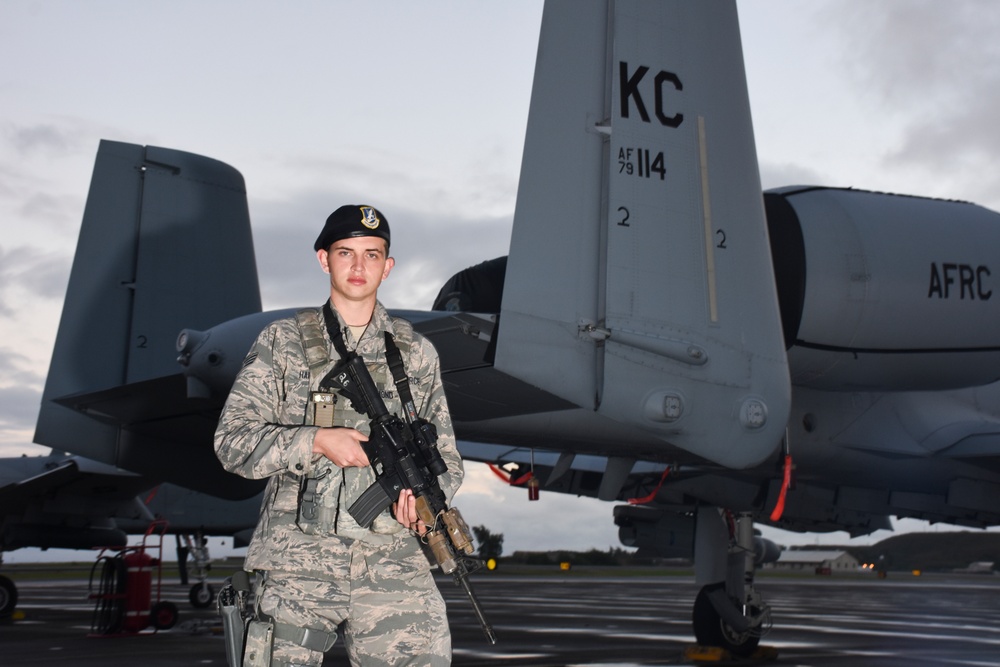 442d Fighter Wing Defenders in Hawaii