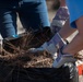 Tyndall Airmen, residents clean local cemetery