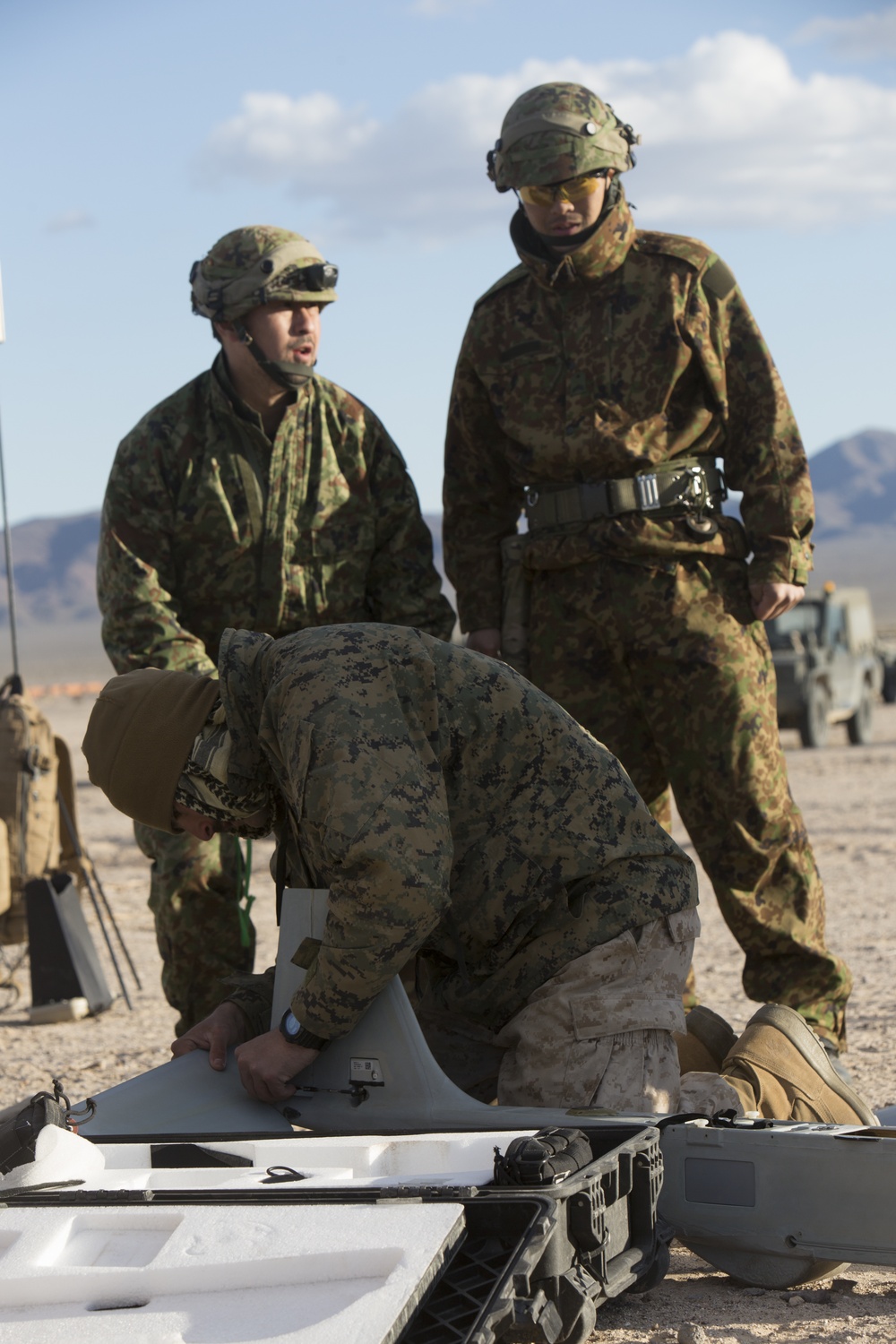 Marines display the RQ-20B Puma to Japanese Ground Self Defense Force Soldiers