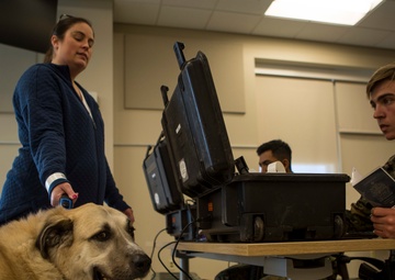 24th MEU CERTEX culminates with simulated noncombatant evacuation operation