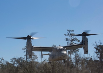 24th MEU CERTEX culminates with simulated noncombatant evacuation operation