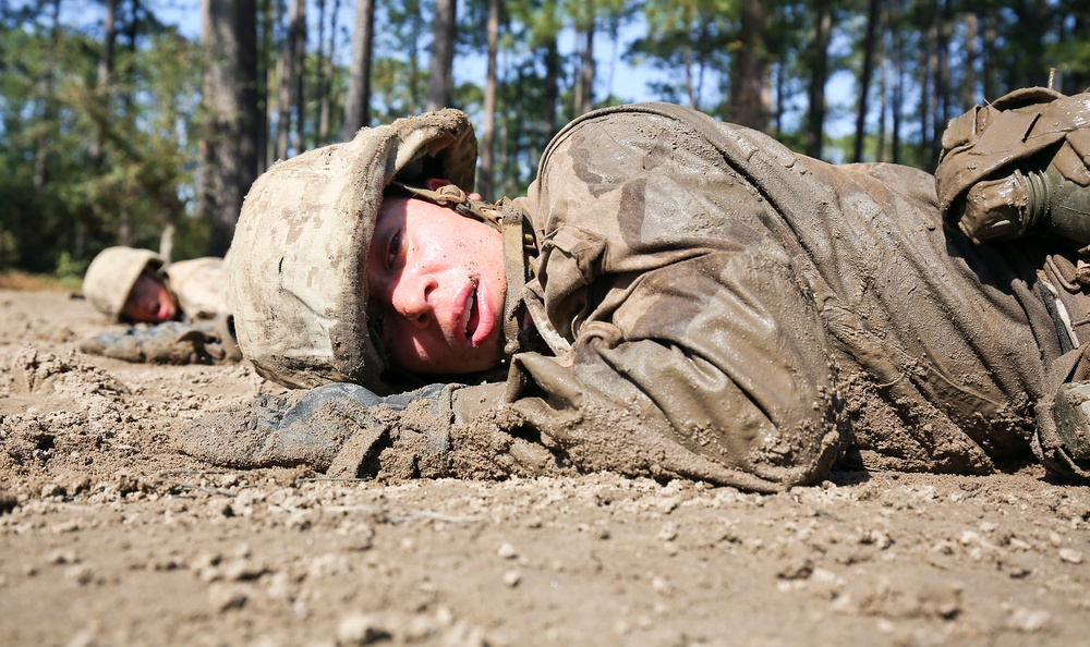 Recruit Deyraliz Perezgines