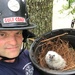 F&amp;ESGC Personnel Rescue Great Horned Owl Onboard NAS Pensacola
