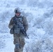 Winter Infantry Training