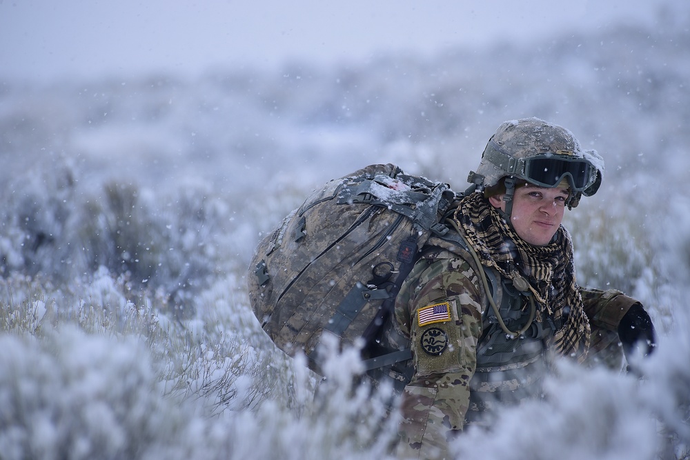 Winter Infantry Training