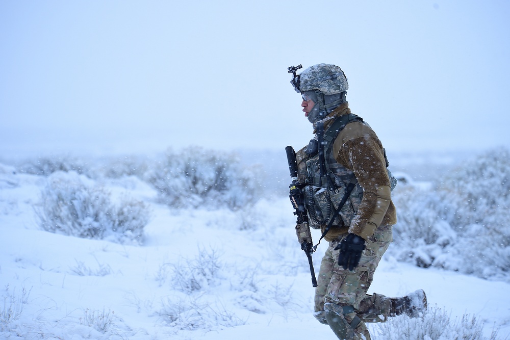 Winter Infantry Training