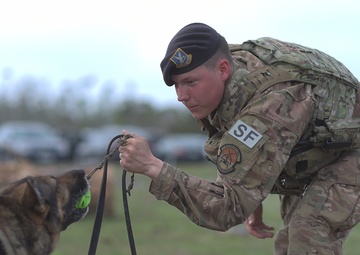 Military working dogs assist in Tyndall recovery efforts