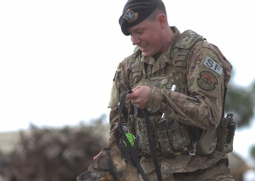 Military working dogs assist in Tyndall recovery efforts