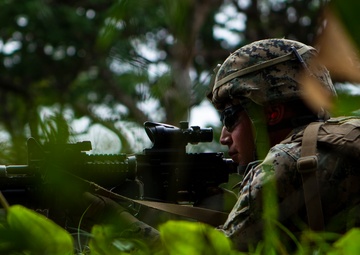 Corps seeks lighter, more capable rifle optic for combat arms Marines