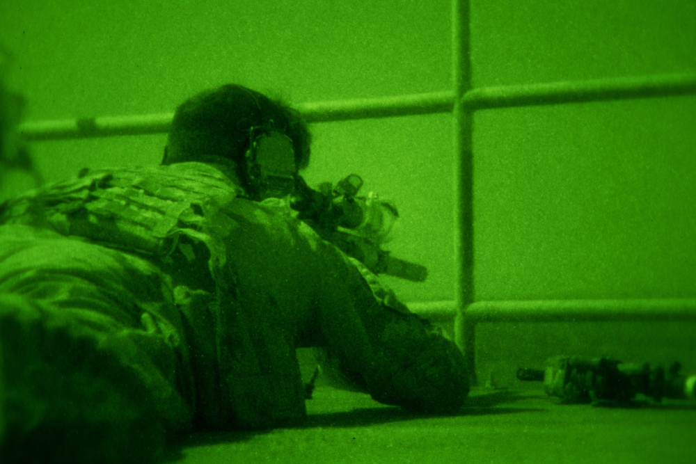 Task Force Alamo Conducts Night Tactics Training