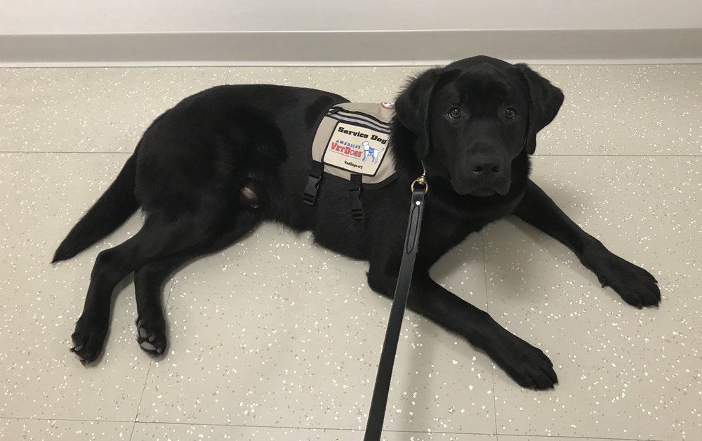 Black Jack, Naval Medical Center Camp Lejeune's Facility Therapy Dog