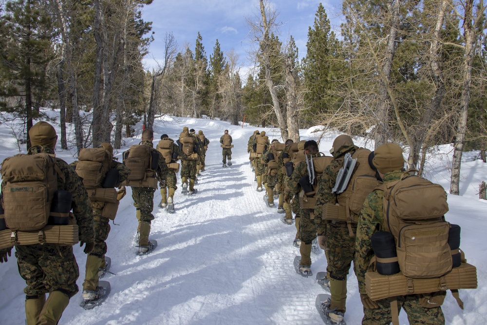 3rd Marine Regiment Bridgeport Hike