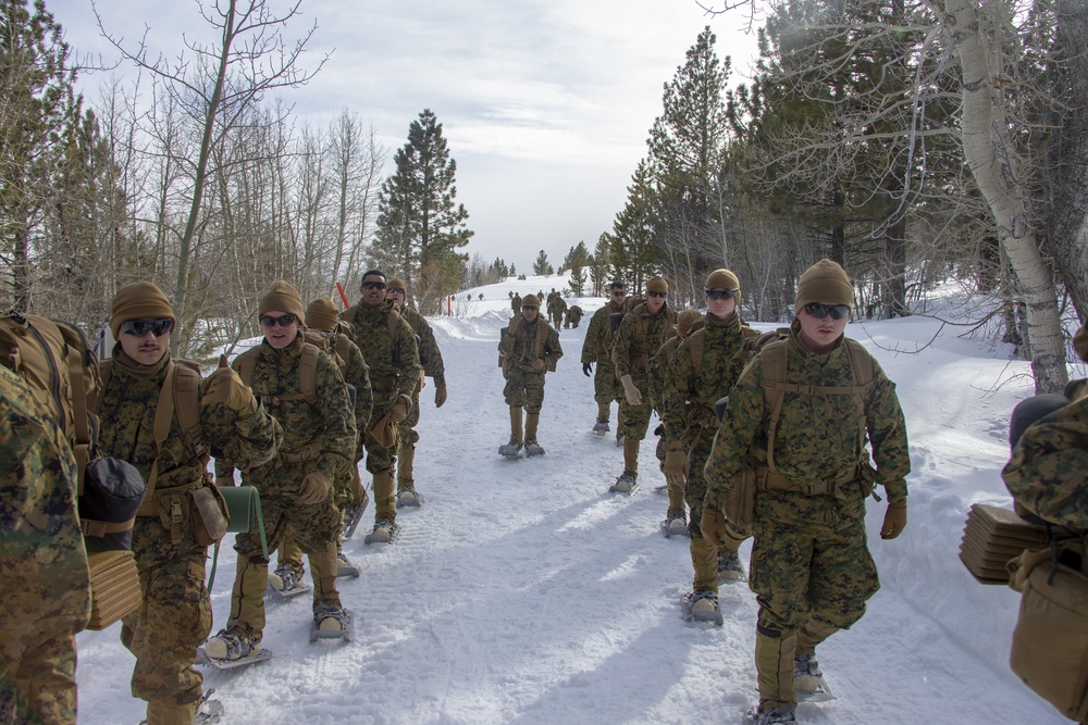 3rd Marine Regiment Bridgeport Hike