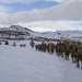 3rd Marine Regiment Bridgeport Hike