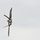 Heritage pilots practice for 2019 season Heritage pilots practice for 2019 season