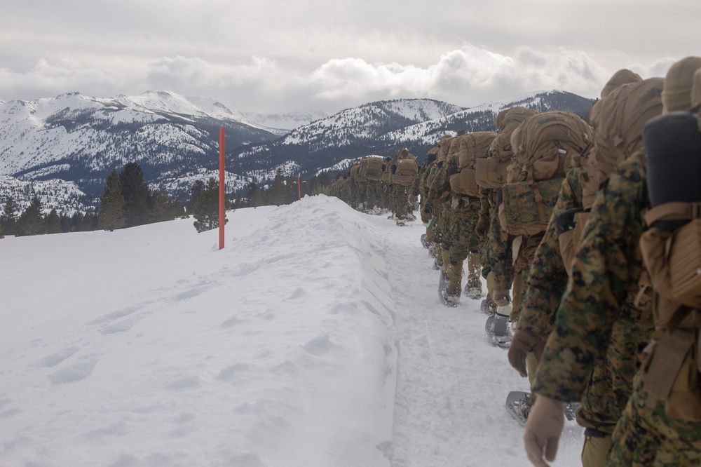 3rd Marine Regiment Bridgeport Conditioning Hike