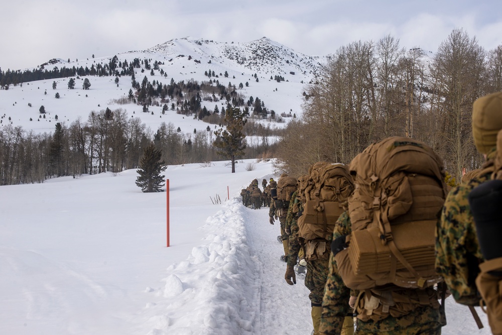 3rd Marine Regiment Bridgeport Conditioning Hike