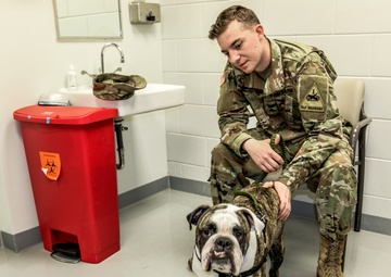 First Class Care for Bulldog Brigade Mascot
