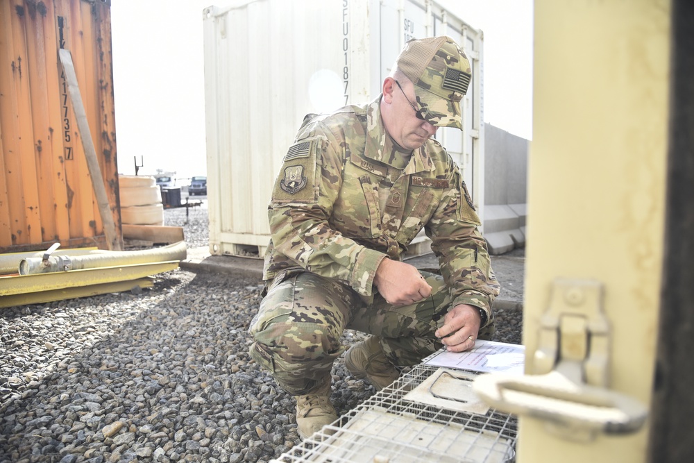 AF, Army partner together to activate TVRN clinic