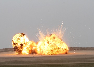 Joint Effort Helps Destroy Unserviceable Ammunition