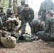 2/2 Casualty Evacuation Training