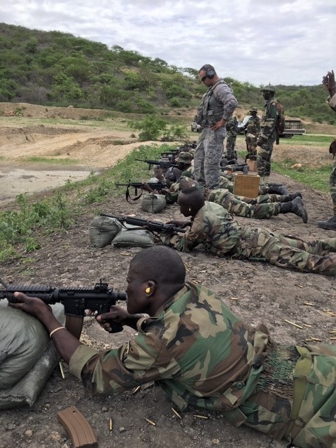 Expedited weapon delivery to Senegal proves process