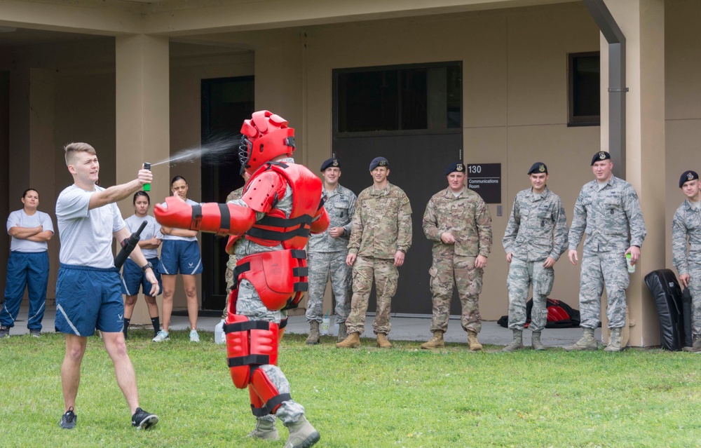 Security Forces Participates in Annual Training