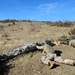 Live fire dynamic exercise-Monte Carpegna