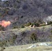 Live fire dynamic exercise-Monte Carpegna